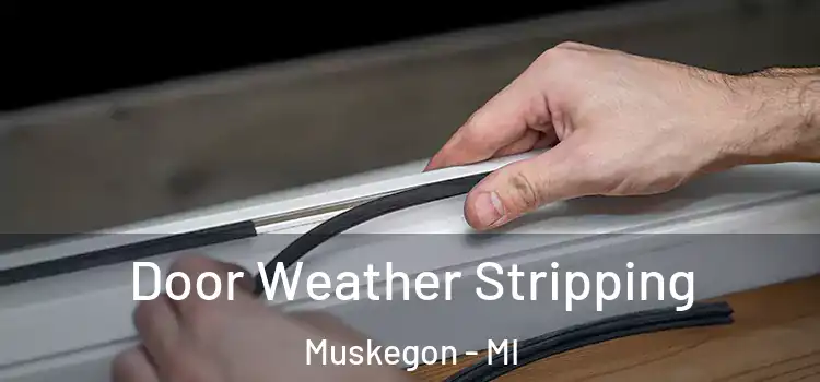 Door Weather Stripping Muskegon - MI