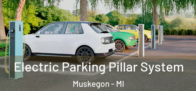 Electric Parking Pillar System Muskegon - MI