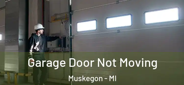  Garage Door Not Moving Muskegon - MI