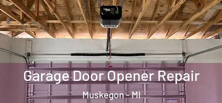  Garage Door Opener Repair Muskegon - MI