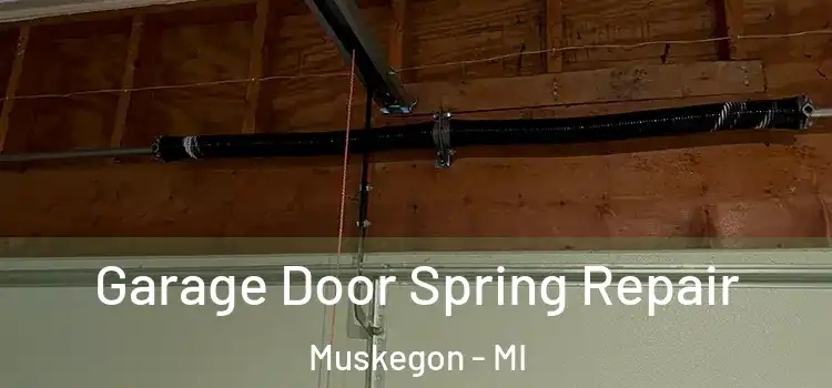  Garage Door Spring Repair Muskegon - MI