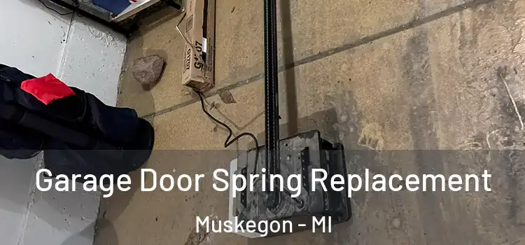  Garage Door Spring Replacement Muskegon - MI