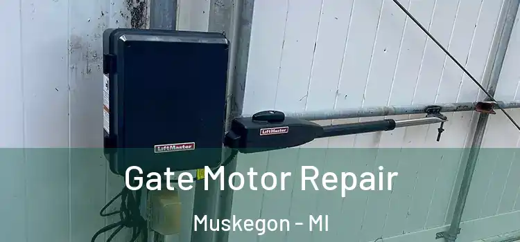 Gate Motor Repair Muskegon - MI