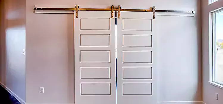 Glass Barn Door with Installation Hardware Kit Muskegon