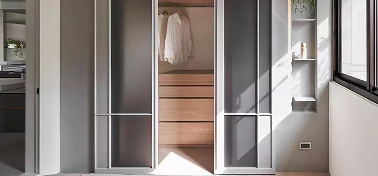 Mirror Sliding Door Replacement Muskegon