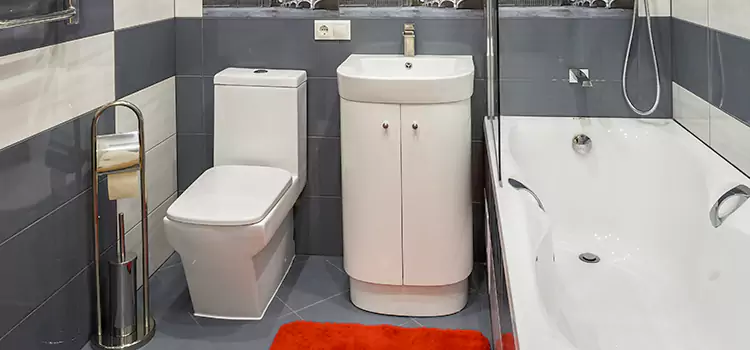Hansgrohe Shaving Mirror Muskegon
