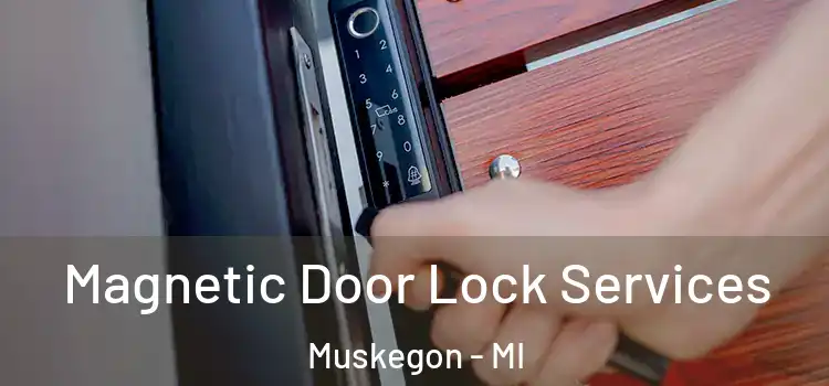 Magnetic Door Lock Services Muskegon - MI